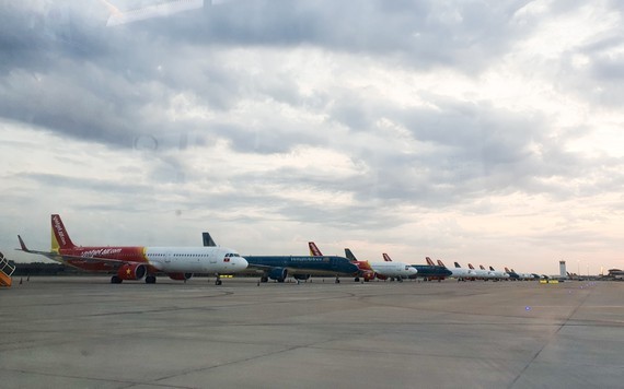 Binh Dinh, Da Nang offer flights to repatriate residents from South ảnh 1