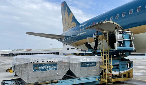 VNA airlifted 800 ventilators, 6.2 tons of medical supplies to HCMC ảnh 1