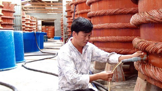 Phu Quoc fish sauce making becomes national intangible cultural heritage ảnh 1