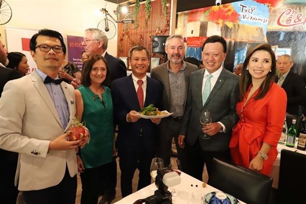 South Australia – Vietnam Business Council debuts ảnh 1