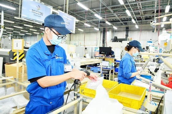 HCMC seeking new impetus for economic growth ảnh 1