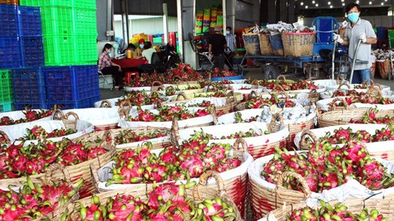 HCMC promotes consumption of key agricultural products ảnh 1