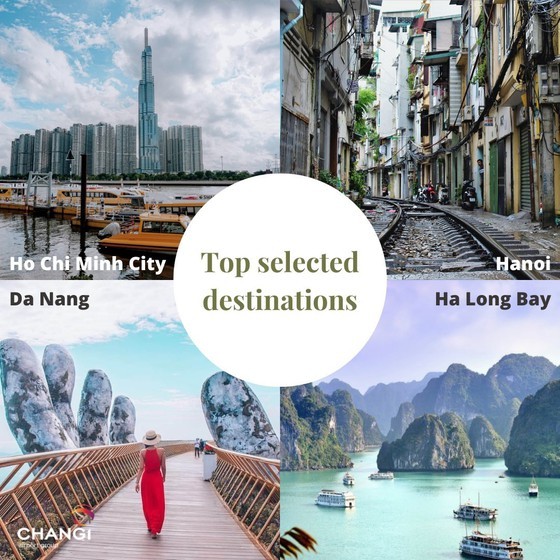 Many Singaporean tourists willing to travel to Vietnam ảnh 1