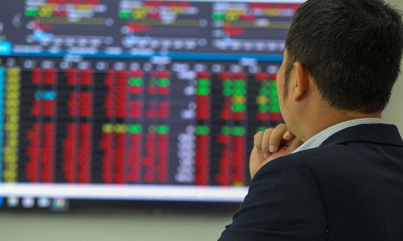 New investors must prepare for failure in stock market ảnh 1