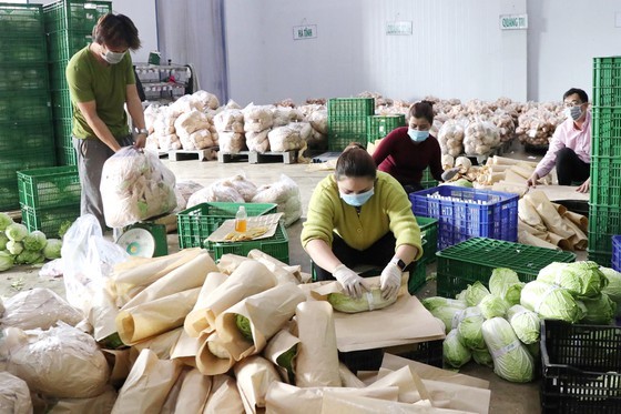 Lam Dong and HCMC connect to sell agricultural products ảnh 1