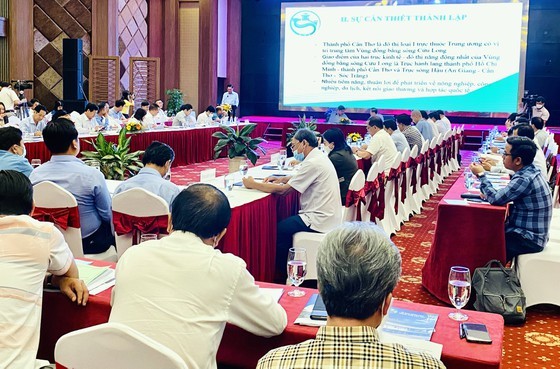 Newly-established center hoped to help link, consume agricultural products in Mekong Delta ảnh 1