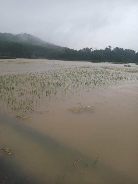 Heavy rain triggered flooding causes traffic snarl-ups in Northern Vietnam  ảnh 1