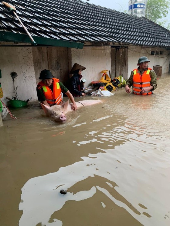 Heavy rain triggered flooding causes traffic snarl-ups in Northern Vietnam  ảnh 2