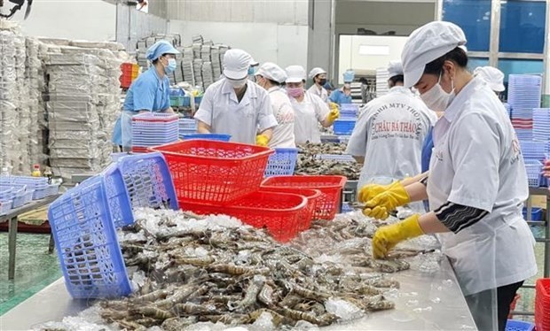 South Africa a potential market for Vietnam’s fishery products: official ảnh 1