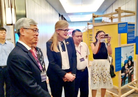 Vietnam and Sweden cooperate on sustainable energy ảnh 1