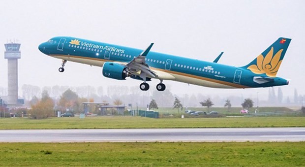 Vietnamese, Chinese airlines allowed to operate two flights per week ảnh 1