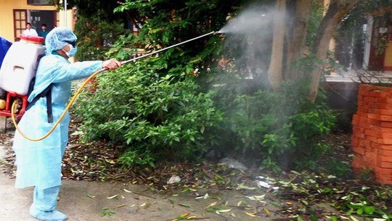 Ho Chi Minh City records one more dengue fever death ảnh 1