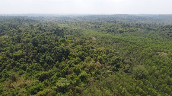 UNESCO proposes not to build road through Dong Nai World Biosphere Reserve’s core zone ảnh 1
