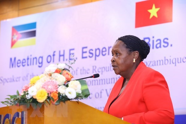 Mozambique – gateway for Vietnamese firms to access Southern Africa ảnh 1