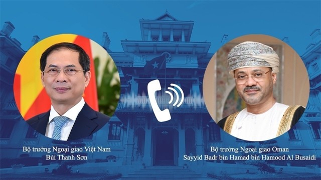 Vietnam forges multi-faceted cooperation with Oman, UAE ảnh 1