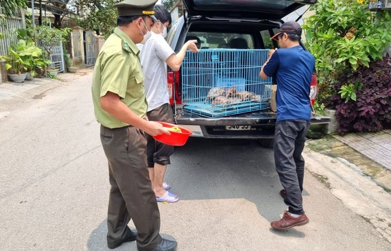 Vietnam makes efforts to rescue wild animals ảnh 1