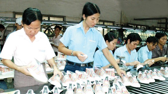 Chances await, but solutions to difficulties needed to maximise EVFTA ảnh 1