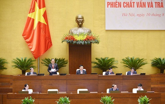 Minister proposes extending for implementation of preferential policies for tourism enterprises ảnh 1