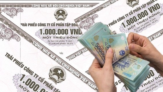 Value of private bond issuance down 10.9 percent  in first seven months ảnh 1