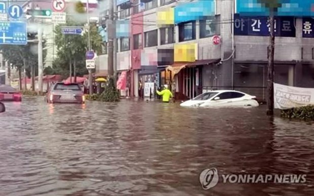 Sympathy offered to RoK over serious losses caused by floods ảnh 1