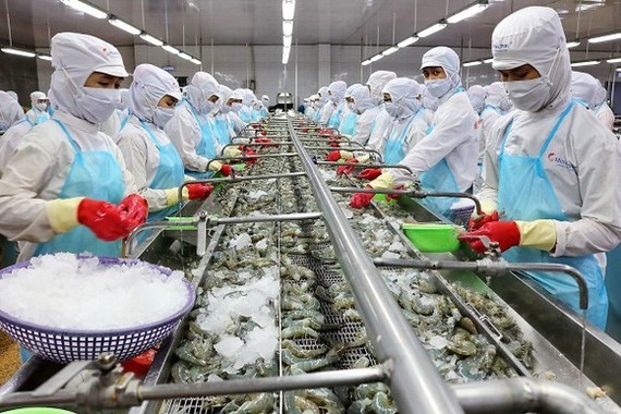 International Fisheries Exhibition - Vietfish 2022 returns to HCMC from August 24 ảnh 1