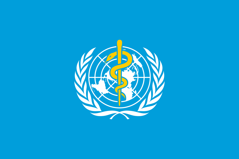 WHO supports HCMC in non-communicable disease care ảnh 1