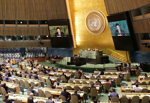 Deputy PM highlights significance of int'l solidarity, cooperation at UN session ảnh 1