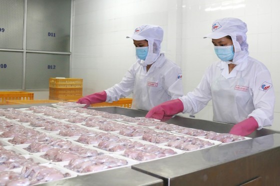 Food enterprises accelerate investment to meet increasing demand in countries ảnh 1
