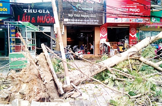 North- central region overcoming consequences after typhoon Talas  ảnh 1