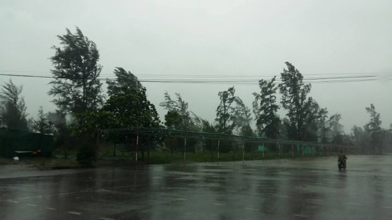 Typhoon Doksuri makes landfall in central provinces  ảnh 6