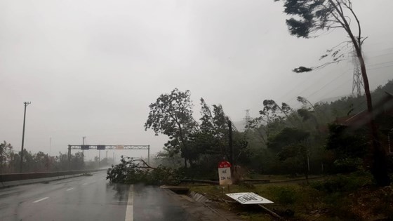 Typhoon Doksuri makes landfall in central provinces  ảnh 1