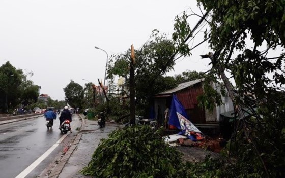 Typhoon Doksuri makes landfall in central provinces  ảnh 9