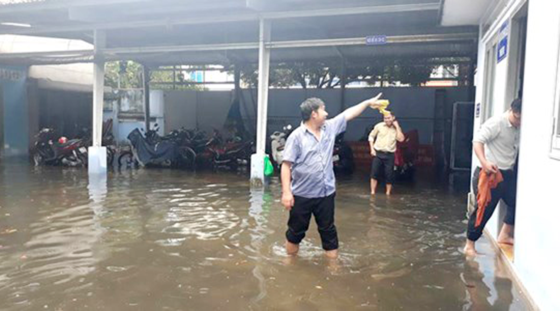 Flood tide causes flooding in Mekong Delta region  ảnh 1