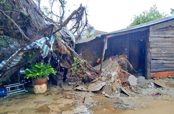 Cyclone blows away dozens of houses in Lam Dong  ảnh 2