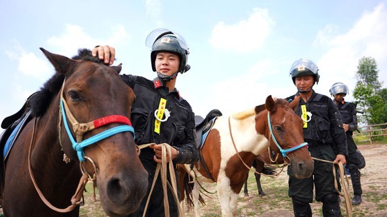 Horse-training day of Cavalry soldiers at Ba Van horse farm ảnh 2