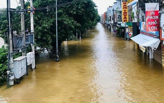 Downpour, flood cause electricity outage in Central, Central Highlands regions  ảnh 1