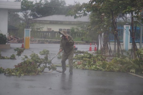 Storm Molave making landfall in provinces from Da Nang to Phu Yen ảnh 1