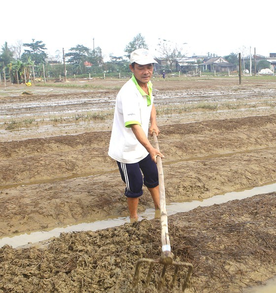 Residents in Central region begin to recover post-flood production activities  ảnh 2