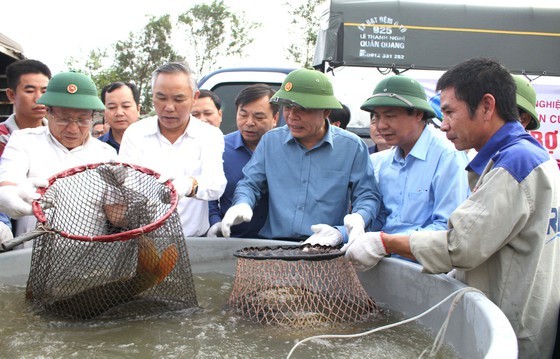 Residents in Central region begin to recover post-flood production activities  ảnh 6