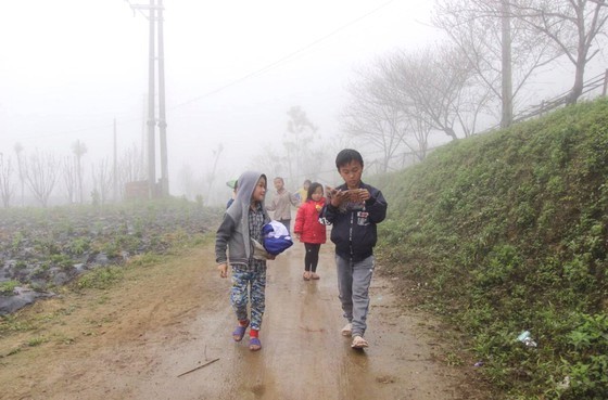 Northern people contrive to live under current gelid cold  ảnh 4