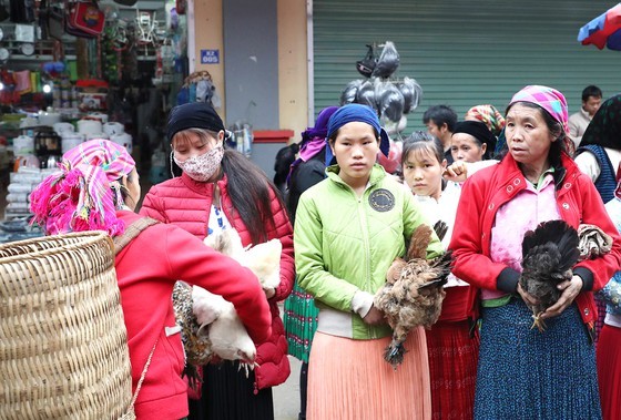 Meo Vac ethnic market becomes must-visit place in Ha Giang  ảnh 3