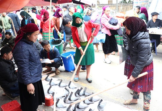 Meo Vac ethnic market becomes must-visit place in Ha Giang ảnh 5
