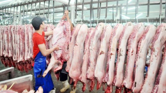Ho Chi Minh City lessens selling prices of pork ảnh 1