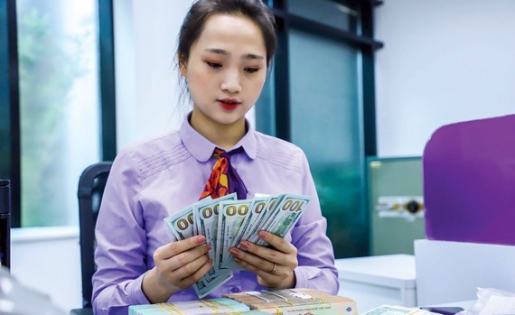 Vietnam seeks avoidance as currency manipulator in future ảnh 1