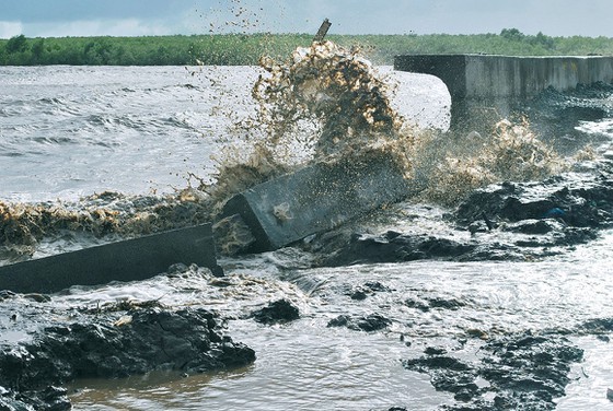 Mekong Delta needs over US$346 mln to tackle severe landslides  ảnh 1