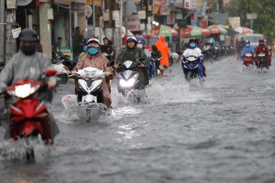 Thu Duc City needs anti-flooding projects  ảnh 2