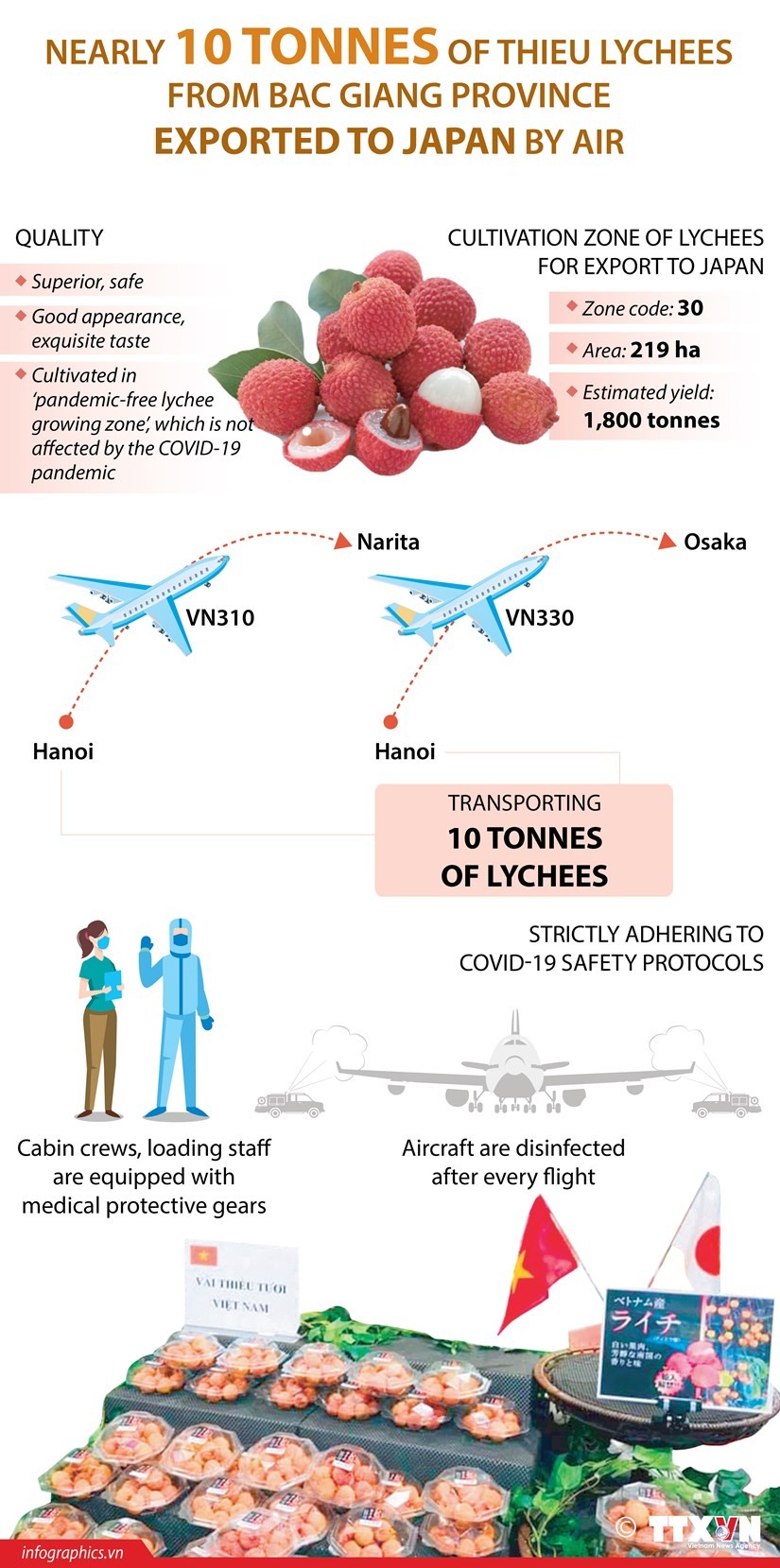 Bac Giang exports nearly 10 tonnes of Thieu lychees to Japan ảnh 1