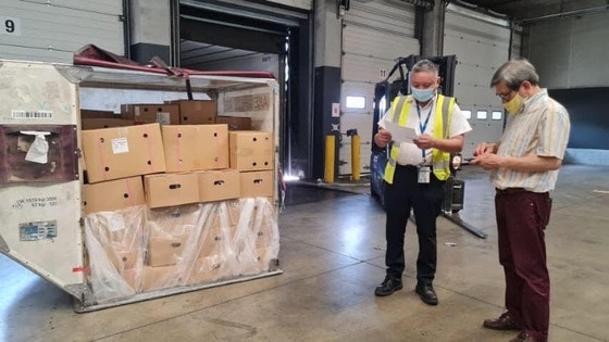 First batch of Vietnamese lychee arrives in France ảnh 1