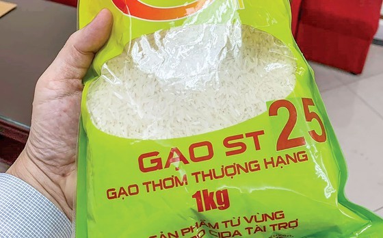 EU-Vietnam Free Trade Agreement an important opportunity ảnh 1