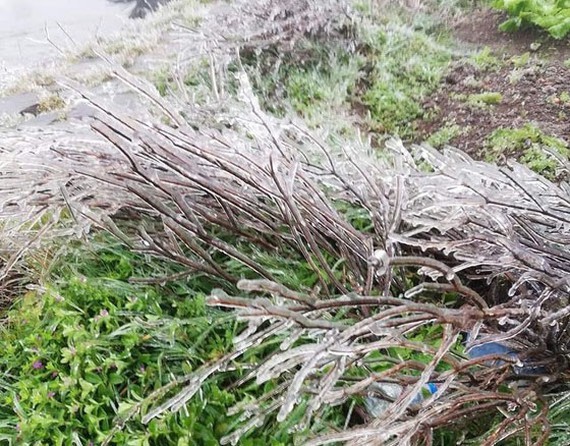 Northern, Central regions to enjoy cold Christmas weekend ảnh 1